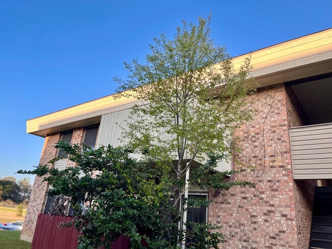 305 Green Briar St, Unit 13 in Deridder, LA - Foto de edificio - Building Photo