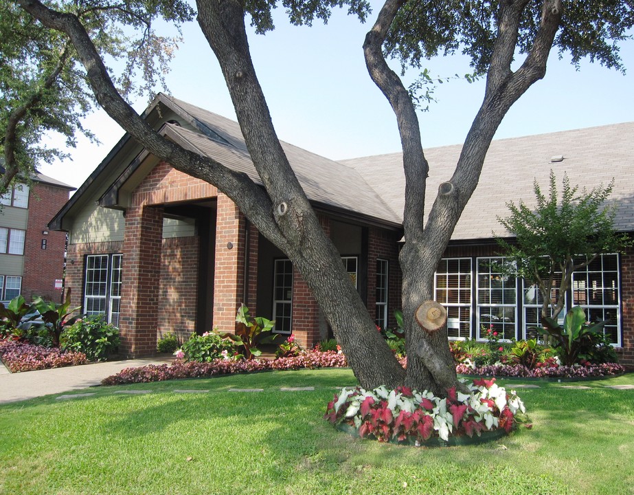 Buena Vista Estates Apartments in Dallas, TX - Building Photo