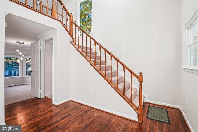 8803 Black Alder Dr in Alexandria, VA - Building Photo - Building Photo