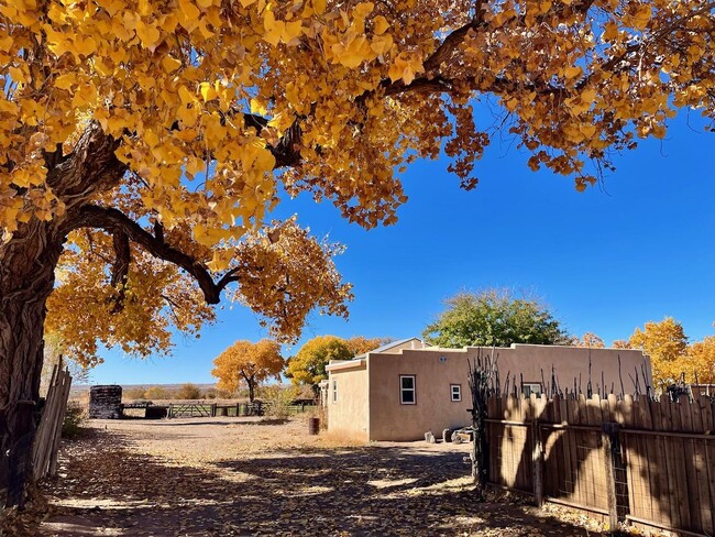 1619 Tapia Blvd SW in Albuquerque, NM - Building Photo - Building Photo