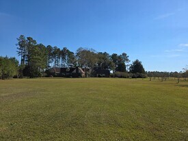 353 Bull Swamp Rd in St Matthews, SC - Building Photo