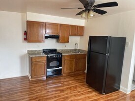 Grad Hospital 2 Bedroom in Philadelphia, PA - Building Photo