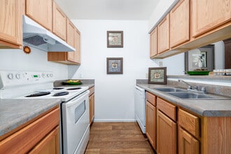 Santa Cruz in Tucson, AZ - Foto de edificio - Interior Photo