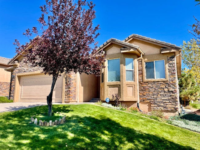 2775 Crooked Vine Ct in Colorado Springs, CO - Building Photo - Building Photo