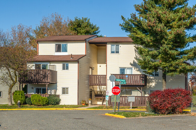 Evergreen Park Condo in Staten Island, NY - Building Photo - Building Photo