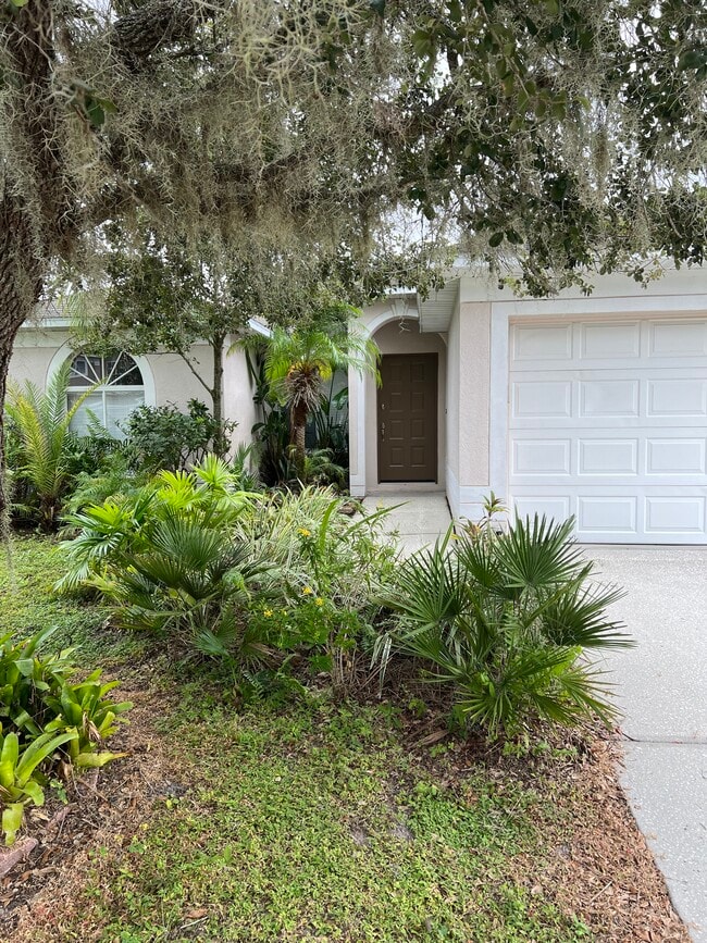 6146 School House Ct in Wesley Chapel, FL - Building Photo - Building Photo