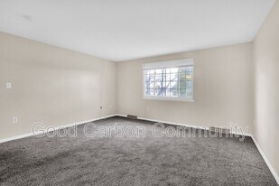 298 Joe McCarthy Dr in Buffalo, NY - Building Photo