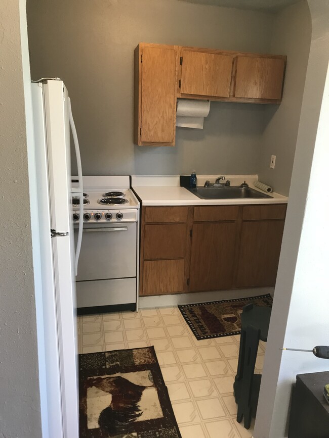 327 S 12th Ave in Pocatello, ID - Building Photo - Building Photo