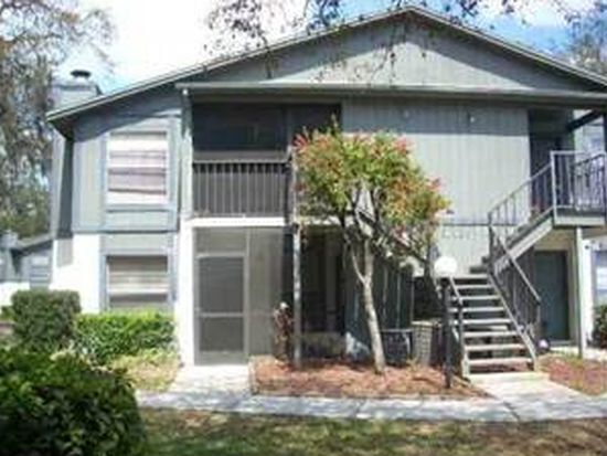 4031 Tumble Wood Trl in Tampa, FL - Building Photo