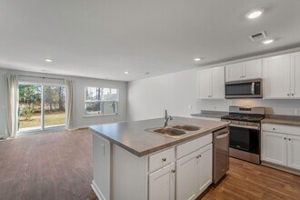 204 Cozy Brook Ct in Summerville, SC - Building Photo - Building Photo