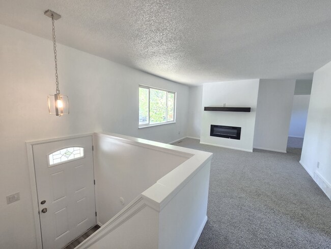 4566 Adieu Cir in Colorado Springs, CO - Building Photo - Building Photo
