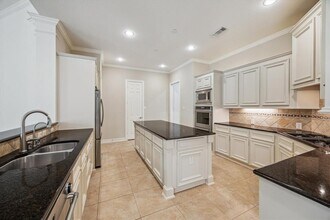 25523 Skye Springs Ln in Katy, TX - Building Photo - Building Photo