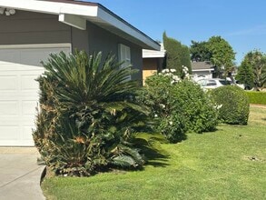 19736 Kittridge St in Winnetka, CA - Building Photo - Building Photo