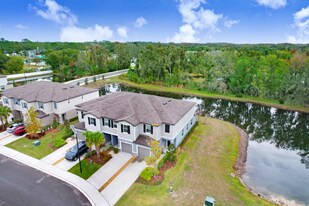 6024 Shiner St in Land O Lakes, FL - Building Photo