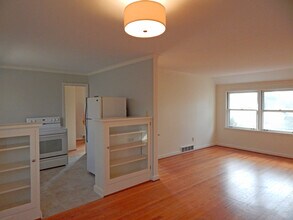 1010 S Anderson St, Unit #4 in Urbana, IL - Foto de edificio - Building Photo