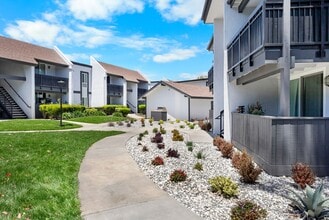 Surf House Apartments in Huntington Beach, CA - Building Photo - Building Photo