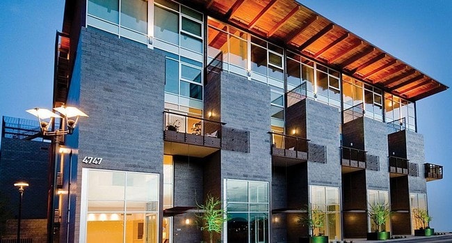 Safari Drive in Scottsdale, AZ - Foto de edificio - Building Photo
