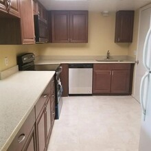2401 Barley Club Dr in Orlando, FL - Building Photo - Building Photo
