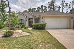 10 Tillamook Ct in Spring, TX - Building Photo