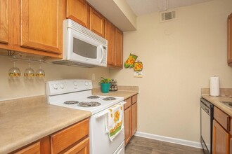 Riverview Apartments in Jacksonville, FL - Building Photo - Building Photo