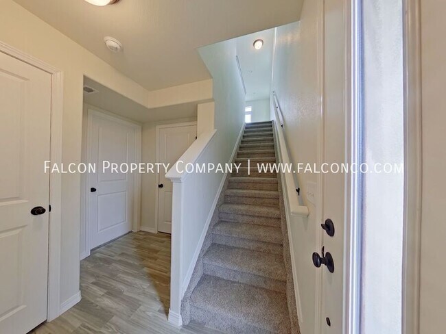 4097 Jericho Loop in Colorado Springs, CO - Building Photo - Building Photo