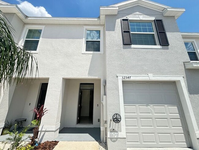property at 32547 Turtle Grace Lp