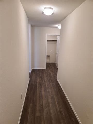 4009 Renee Dr in Dallas, TX - Building Photo - Building Photo