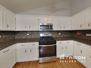 19618 Brookridge Dr in Tinley Park, IL - Building Photo - Building Photo