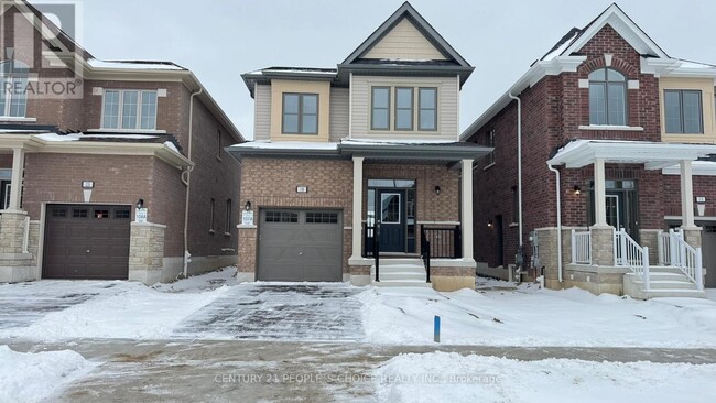 property at 19 Shrubsall St