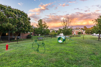 The Belvedere in North Chesterfield, VA - Building Photo - Building Photo