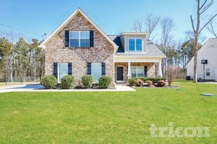 216 Winding Branch Ct in Christiana, TN - Building Photo
