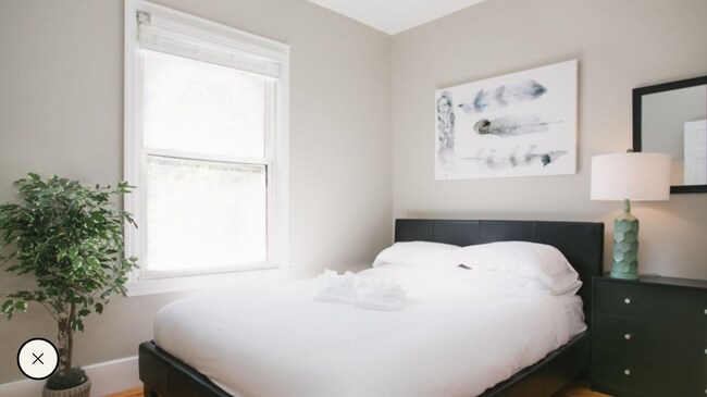 7 Story St, Unit 7 Story Street in Cambridge, MA - Building Photo - Building Photo