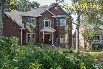441 Rice Field Cove in Mount Pleasant, SC - Building Photo - Building Photo
