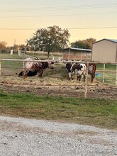 120 Don Propp Rd in Azle, TX - Building Photo - Building Photo