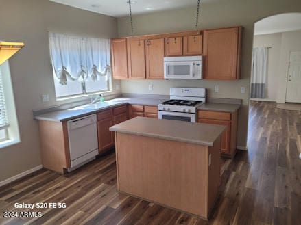 12859 W Modesto Dr in Litchfield Park, AZ - Building Photo - Building Photo