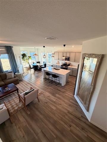 3120 Riddler Wy in Little Elm, TX - Building Photo - Building Photo