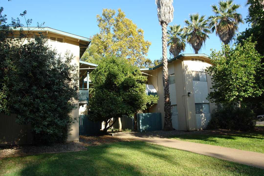 349 Oak Street in Chico, CA - Building Photo