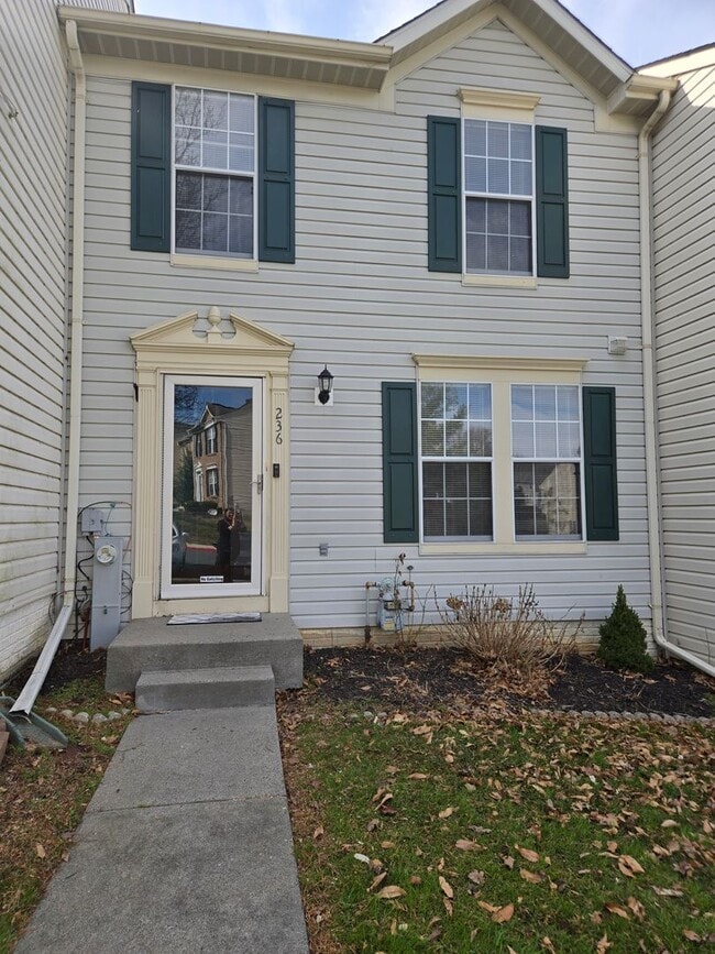 property at 236 High Meadow Terrace