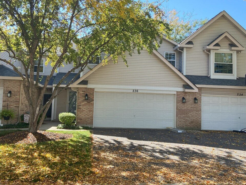 236 E Theodore Ln in Itasca, IL - Building Photo