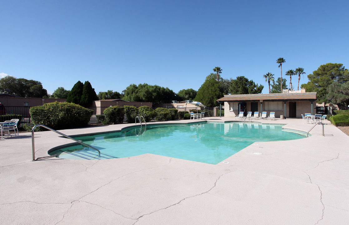 Shannon Park in Tucson, AZ - Building Photo