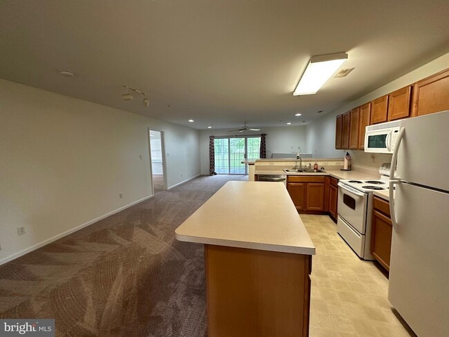 1101 Caitlins Way in Millsboro, DE - Foto de edificio - Building Photo