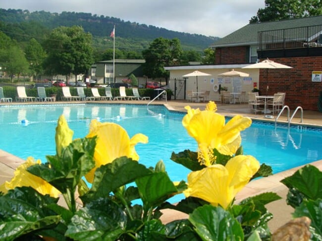 property at 900 Mountain Creek Rd