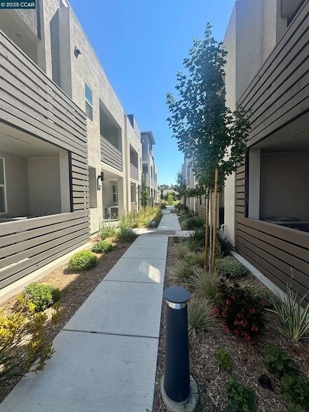 5601 Linen Ct in San Ramon, CA - Building Photo - Building Photo