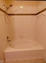 5620 Fossil Creek Pkwy-Unit -6203 in Fort Collins, CO - Building Photo - Building Photo