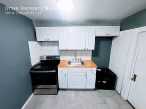 300 W Coulter St in Philadelphia, PA - Building Photo - Building Photo