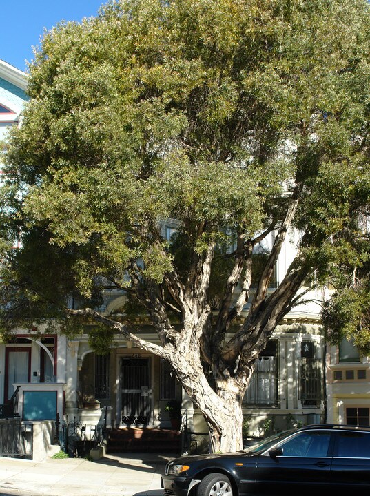 648 Waller St in San Francisco, CA - Foto de edificio