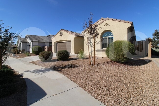 23034 E Via Del Sol in Queen Creek, AZ - Building Photo - Building Photo