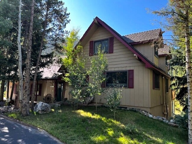 property at 1334 Straight Creek Dr