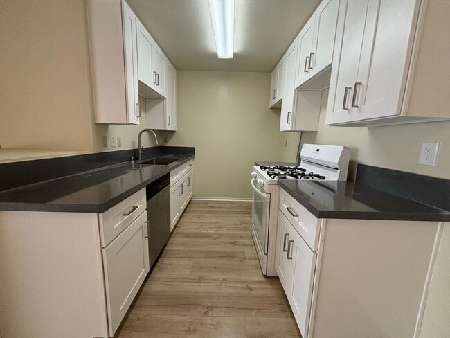 10241 Commerce Ave in Los Angeles, CA - Foto de edificio - Building Photo