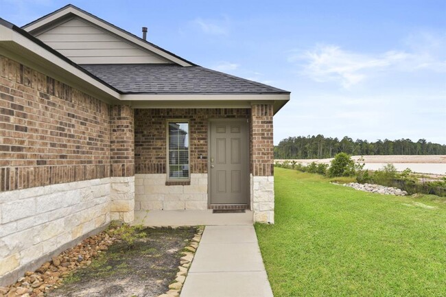 13904 Great Pnes Ct in Conroe, TX - Building Photo - Building Photo